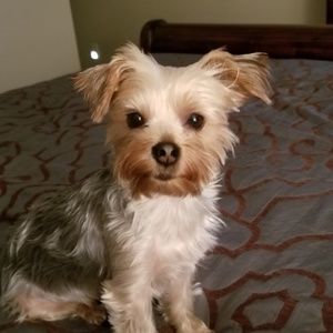 Meet your Posher, Melena